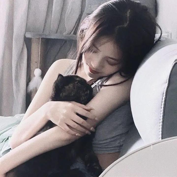 纽泽西爱未眠